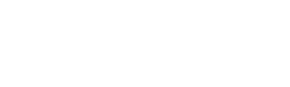 Shriram Capital
