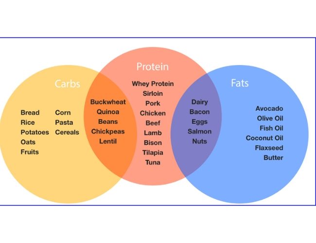 nutrition planning