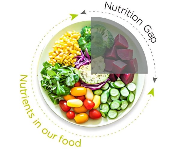 Nutritionist